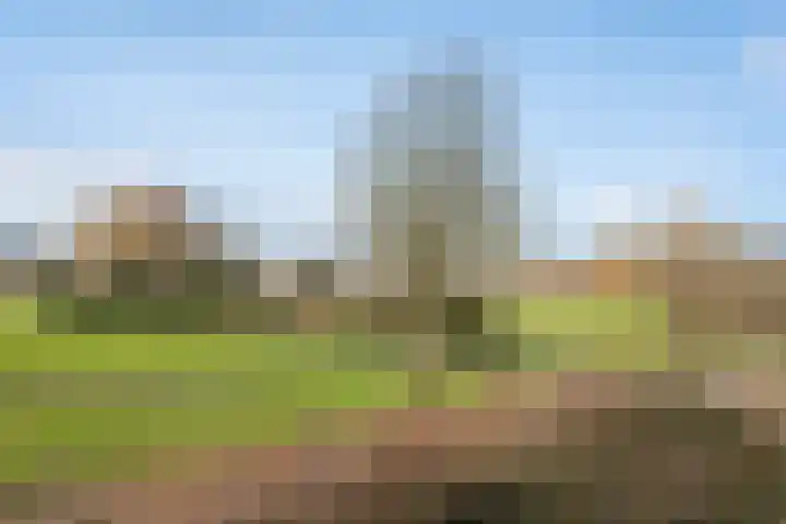 Dr. Albert Schweitzerdreef 331 Maassluis thumbnail 41