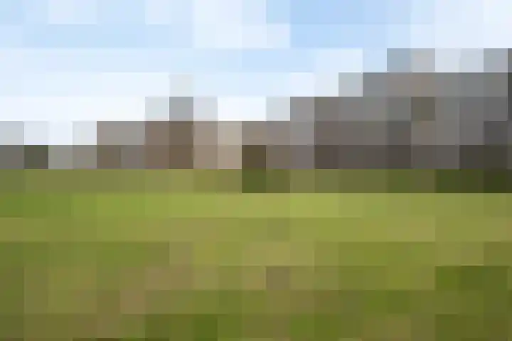 Dr. Albert Schweitzerdreef 331 Maassluis thumbnail 44