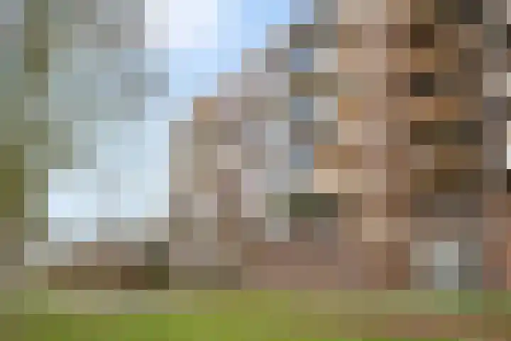 Dr. Albert Schweitzerdreef 331 Maassluis thumbnail 5