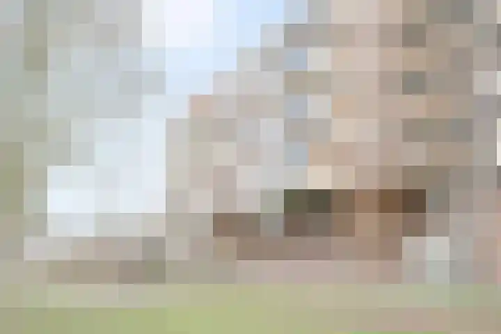 Dr. Albert Schweitzerdreef 331 Maassluis thumbnail 6