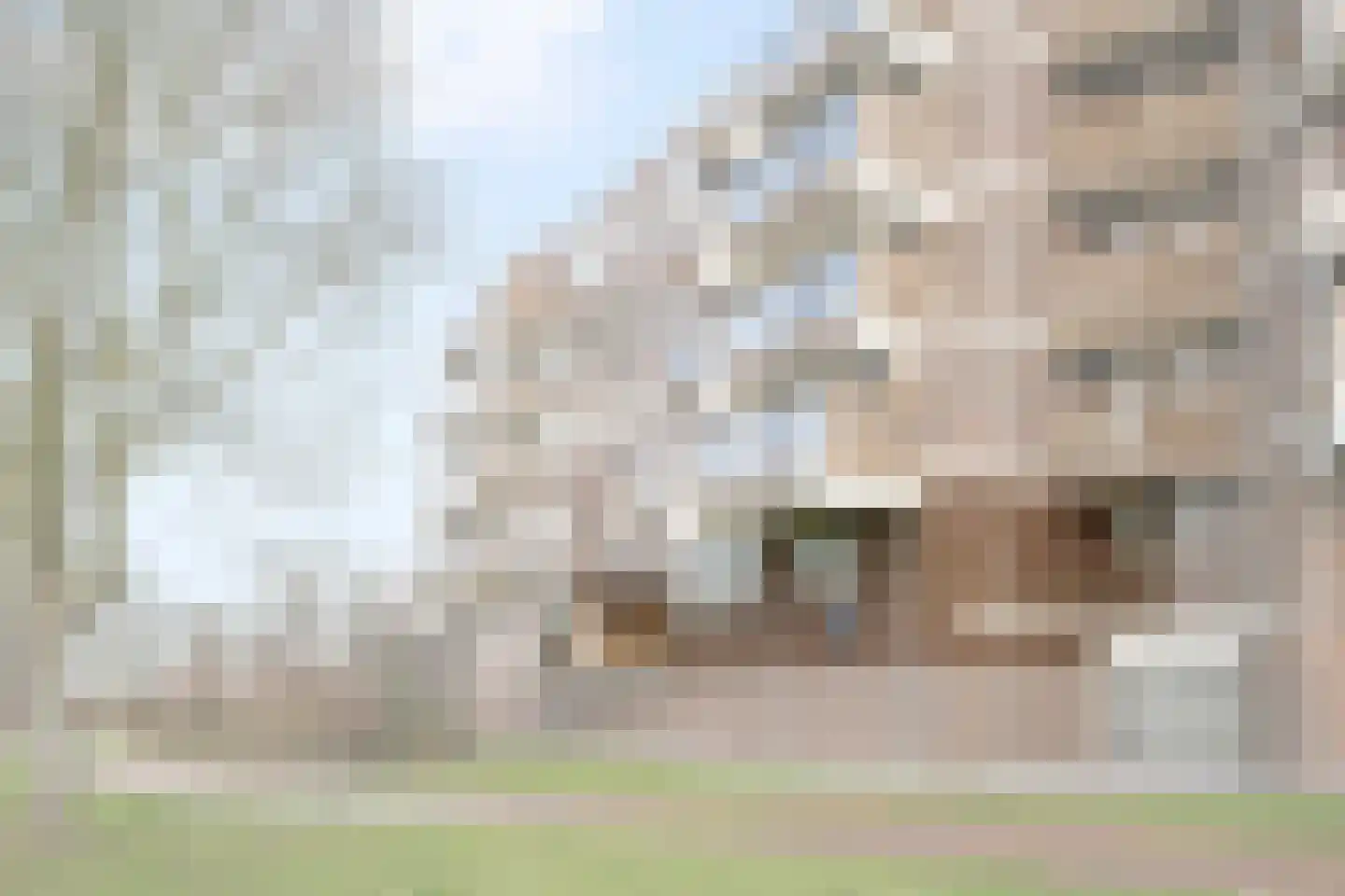 Dr. Albert Schweitzerdreef 331 Maassluis thumbnail 7