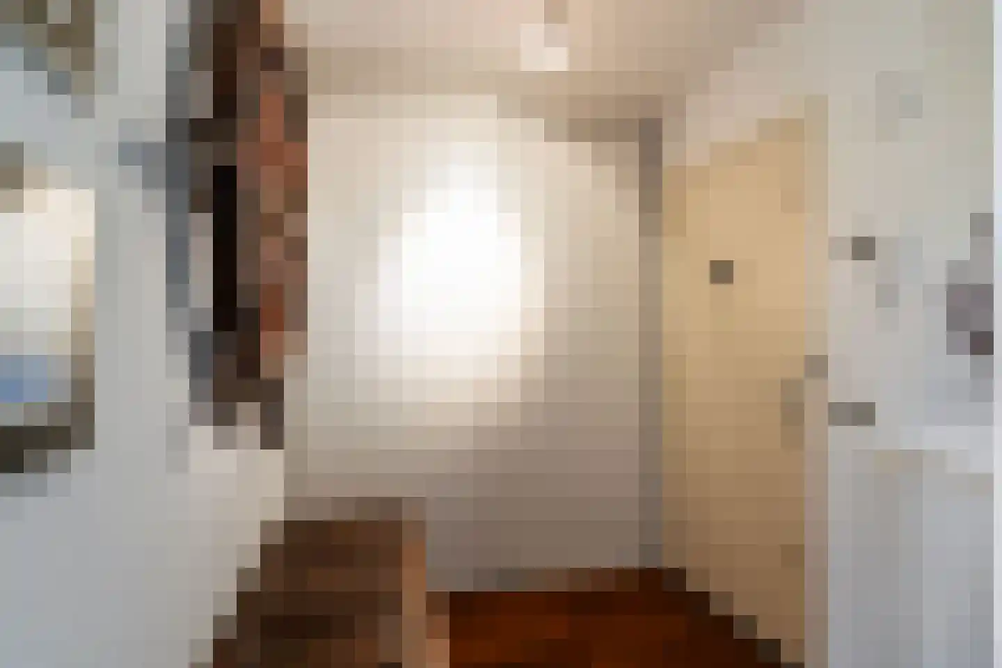 Dr. Albert Schweitzerdreef 331 Maassluis thumbnail 9