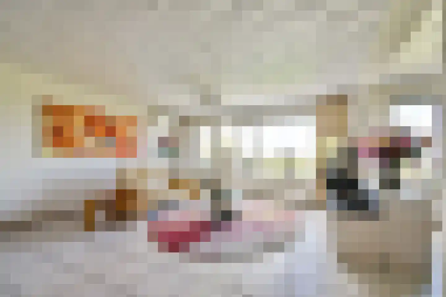 Dr. Albert Schweitzerdreef 335 Maassluis thumbnail 10