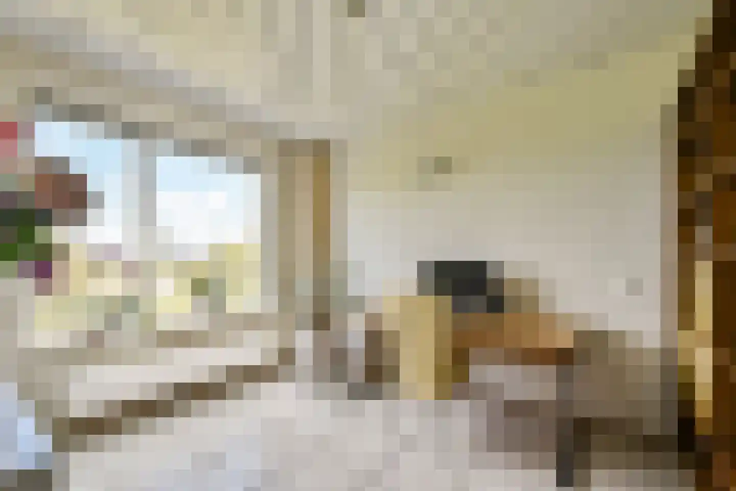 Dr. Albert Schweitzerdreef 335 Maassluis thumbnail 14