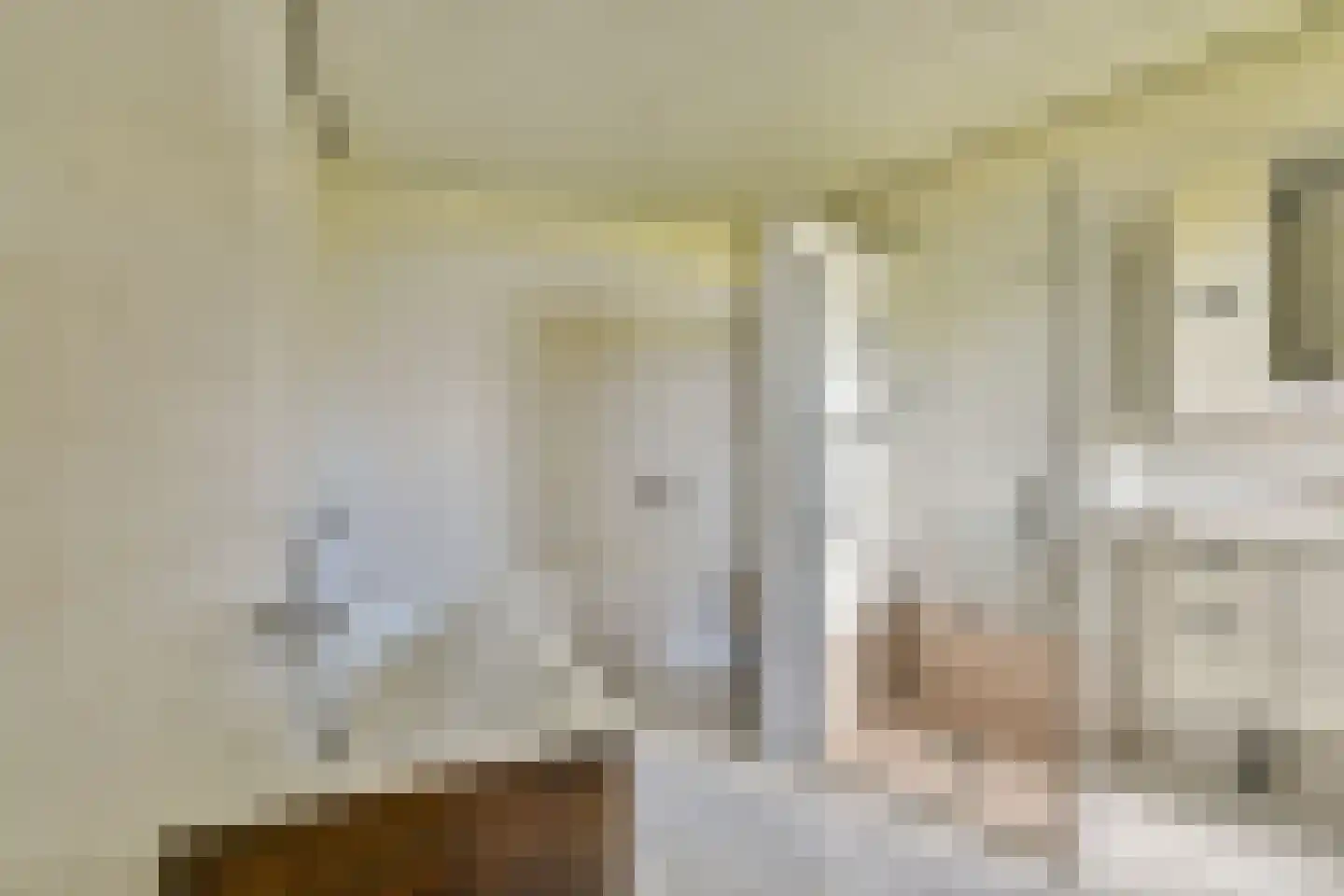Dr. Albert Schweitzerdreef 335 Maassluis thumbnail 24