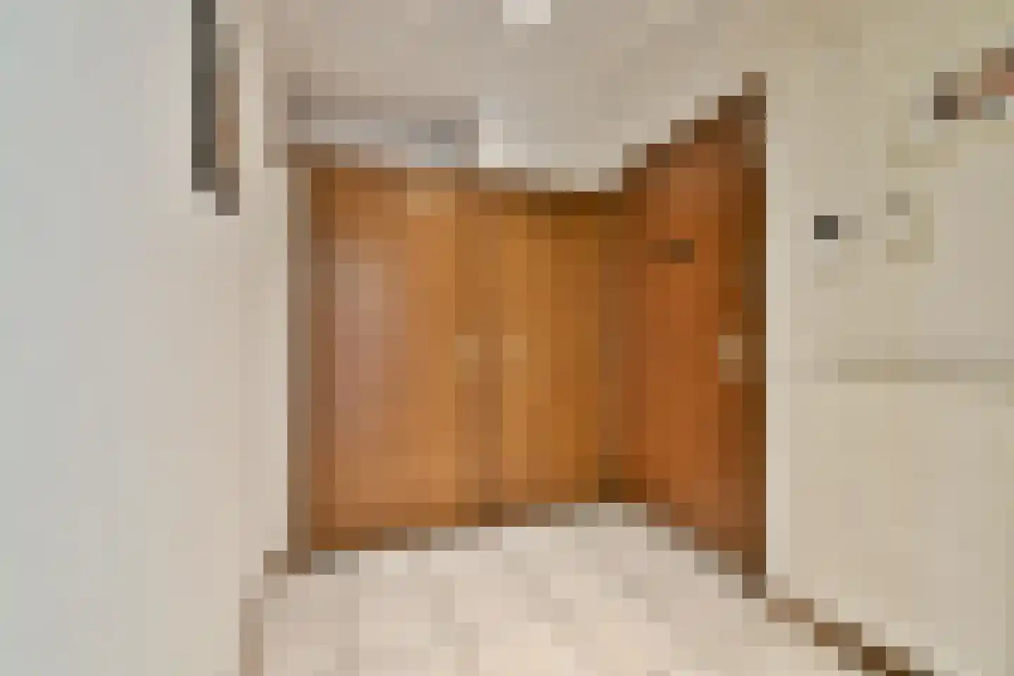 Dr. Albert Schweitzerdreef 335 Maassluis thumbnail 9
