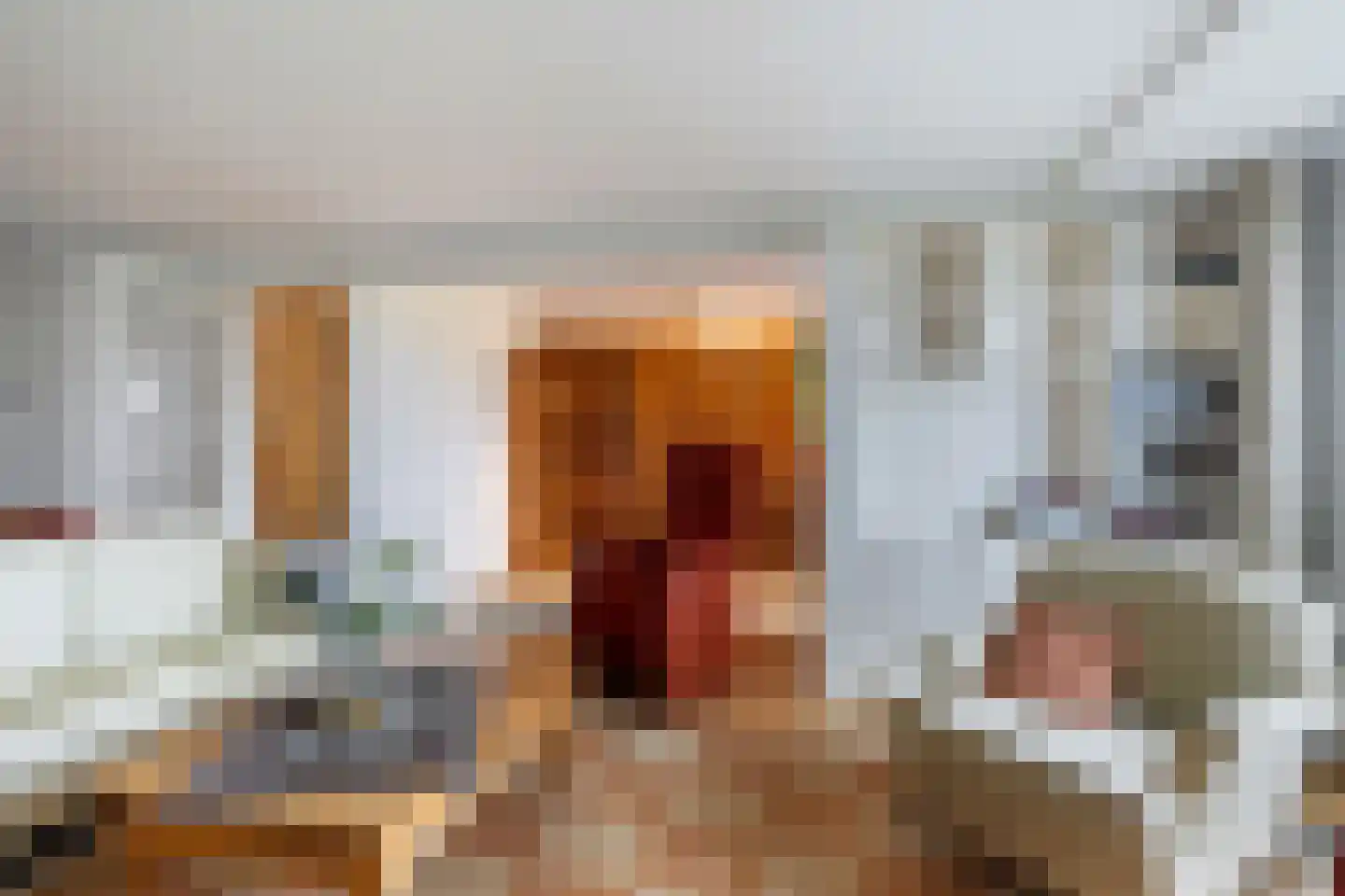 Dr. Albert Schweitzerdreef 343 Maassluis thumbnail 10