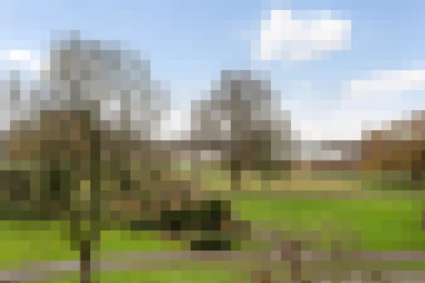 Dr. Albert Schweitzerdreef 343 Maassluis thumbnail 20