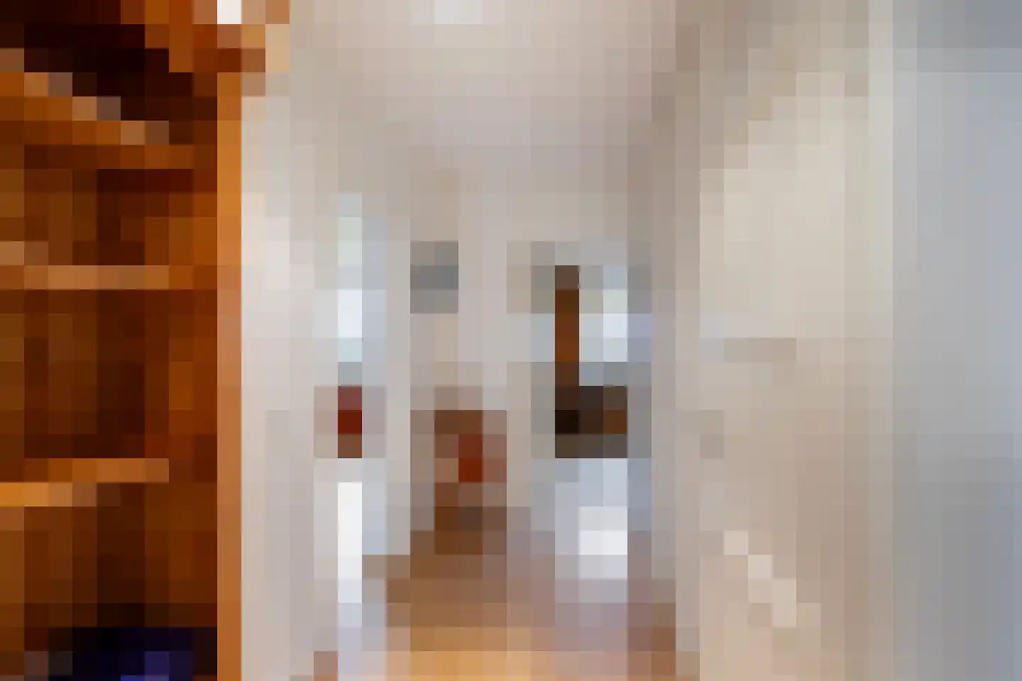 Dr. Albert Schweitzerdreef 343 Maassluis thumbnail 22
