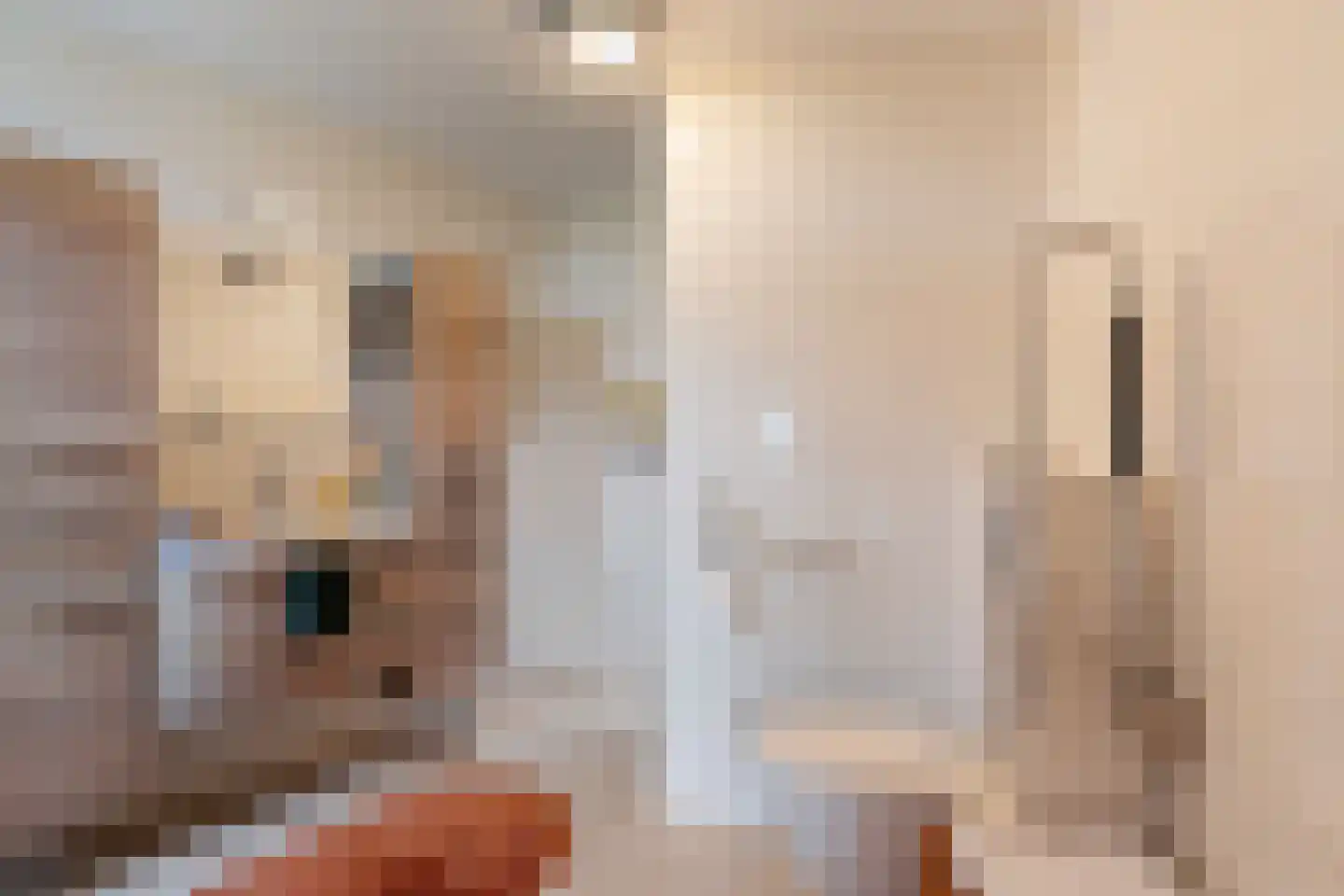 Dr. Albert Schweitzerdreef 343 Maassluis thumbnail 33