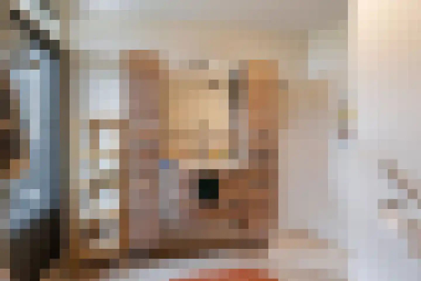 Dr. Albert Schweitzerdreef 343 Maassluis thumbnail 34
