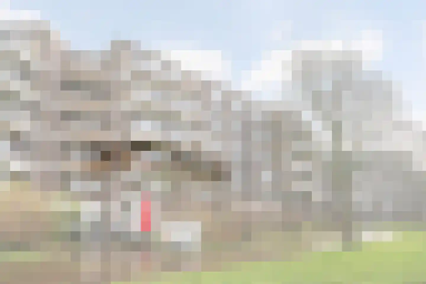 Dr. Albert Schweitzerdreef 343 Maassluis thumbnail 46