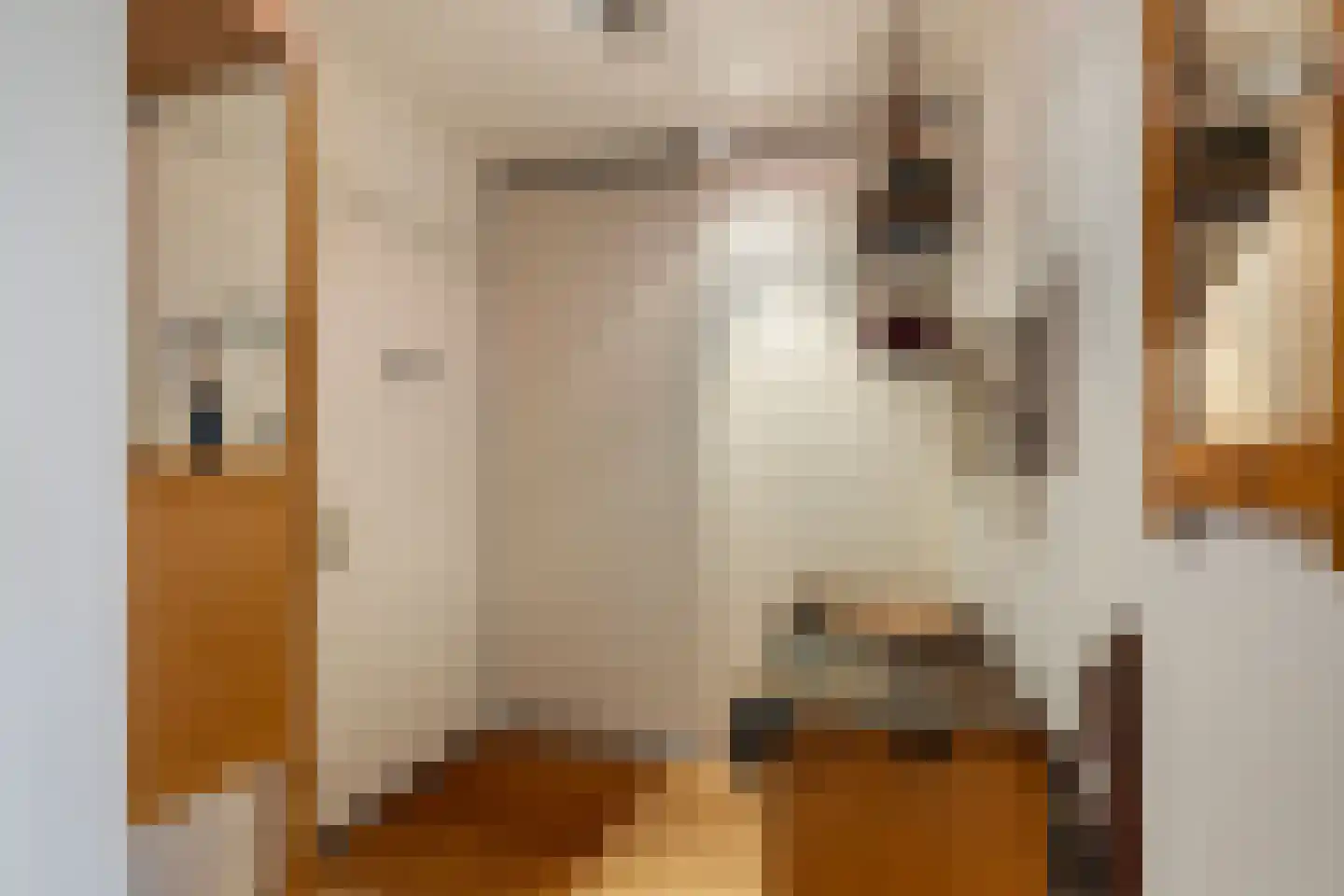 Dr. Albert Schweitzerdreef 343 Maassluis thumbnail 7