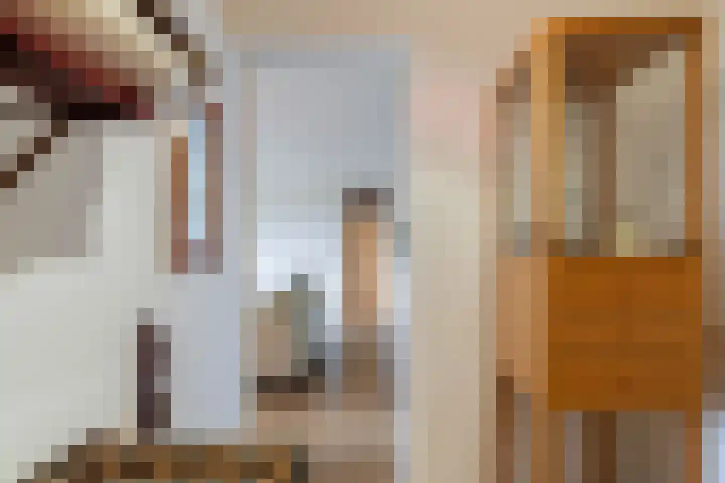 Dr. Albert Schweitzerdreef 343 Maassluis thumbnail 8