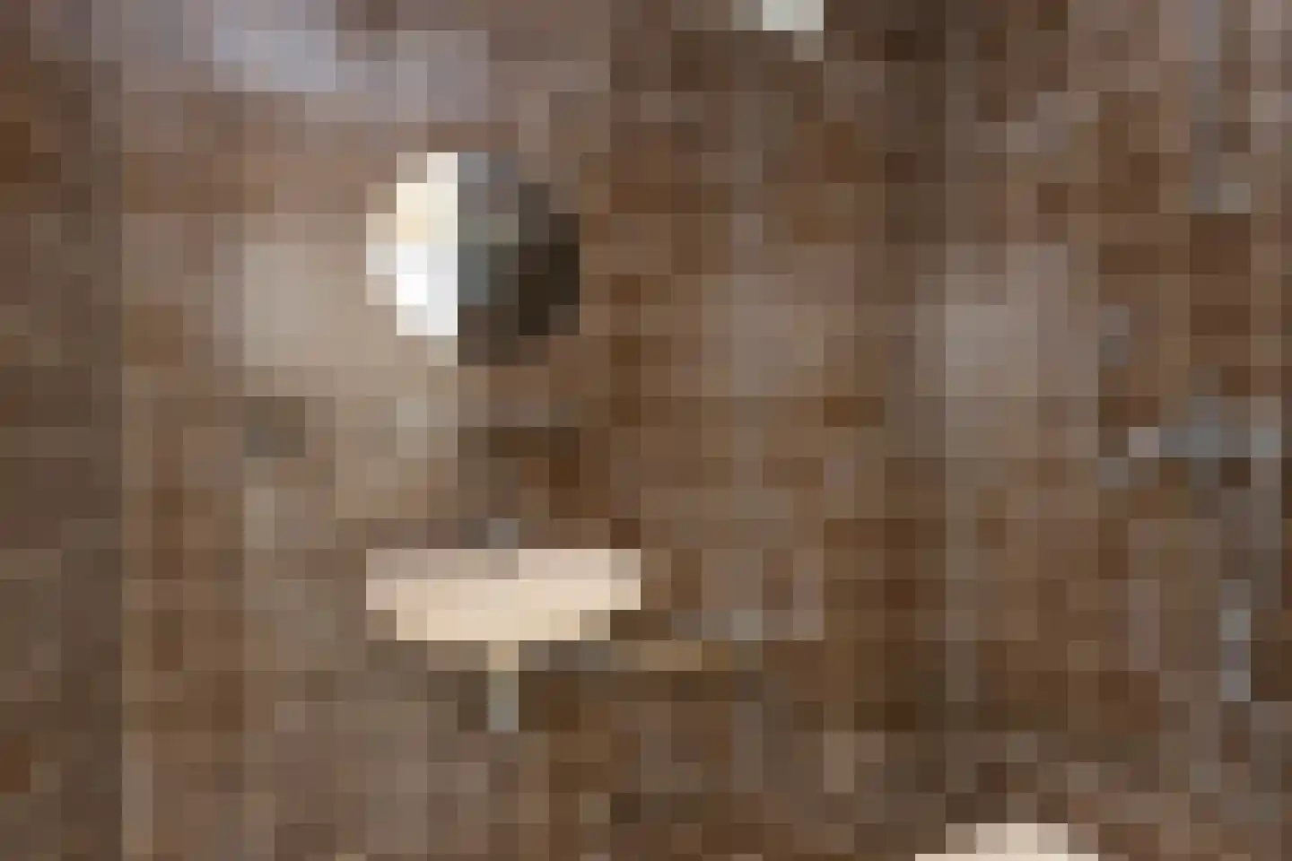Dr. Albert Schweitzerdreef 383 Maassluis thumbnail 47
