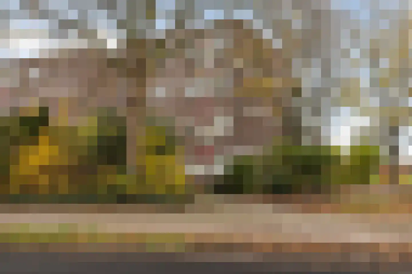 Dr. Albert Schweitzerdreef 383 Maassluis thumbnail 8