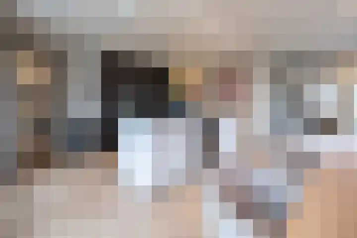 Dr. Albert Schweitzerlaan 12 A Barneveld thumbnail 14