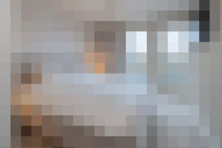 Dr. Albert Schweitzerlaan 12 A Barneveld thumbnail 24
