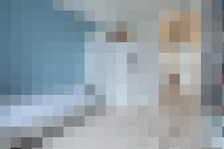 Dr. Albert Schweitzerlaan 12 A Barneveld thumbnail 31