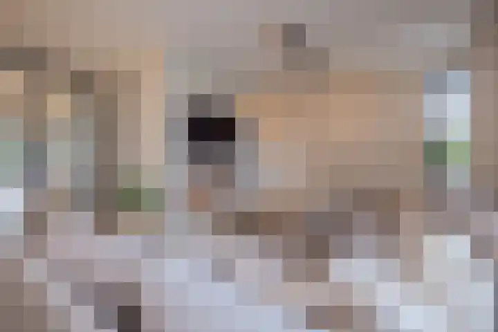 Dr. Albert Schweitzerlaan 12 A Barneveld thumbnail 4