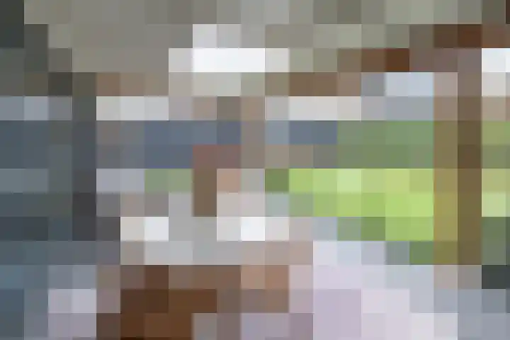 Dr. Albert Schweitzerlaan 12 A Barneveld thumbnail 42