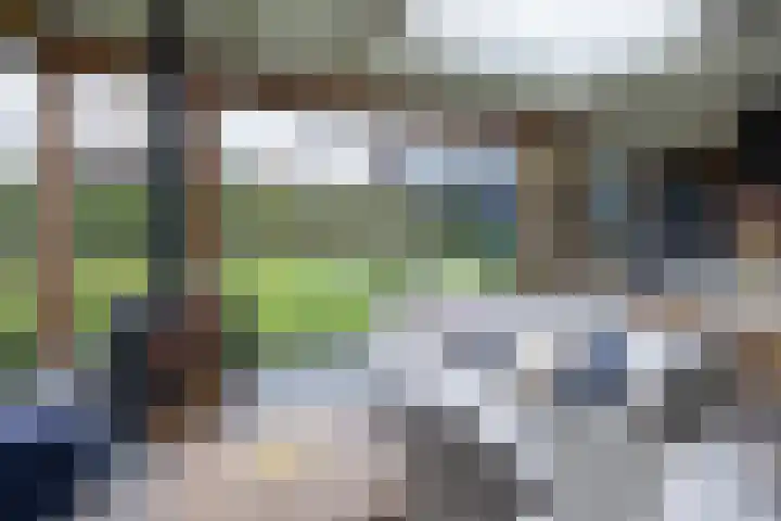 Dr. Albert Schweitzerlaan 12 A Barneveld thumbnail 43