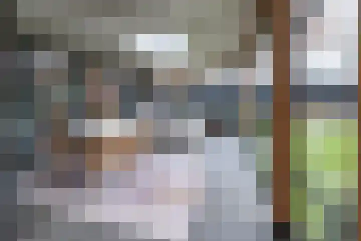 Dr. Albert Schweitzerlaan 12 A Barneveld thumbnail 46