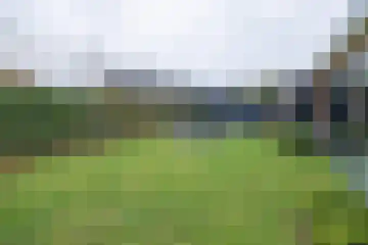 Dr. Albert Schweitzerlaan 12 A Barneveld thumbnail 51