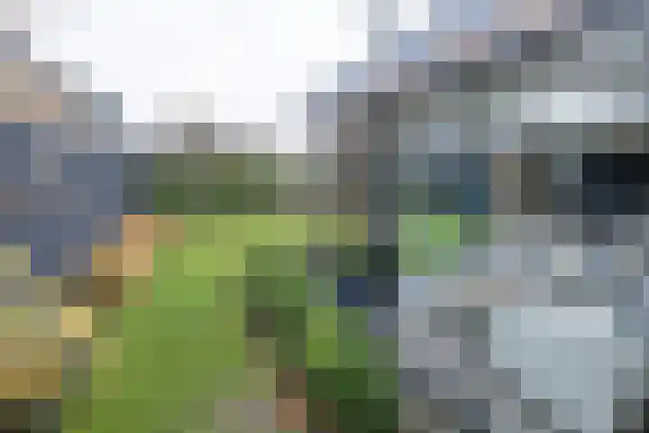 Dr. Albert Schweitzerlaan 12 A Barneveld thumbnail 53