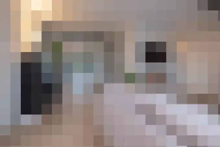 Dr. Albert Schweitzerlaan 12 A Barneveld thumbnail 7