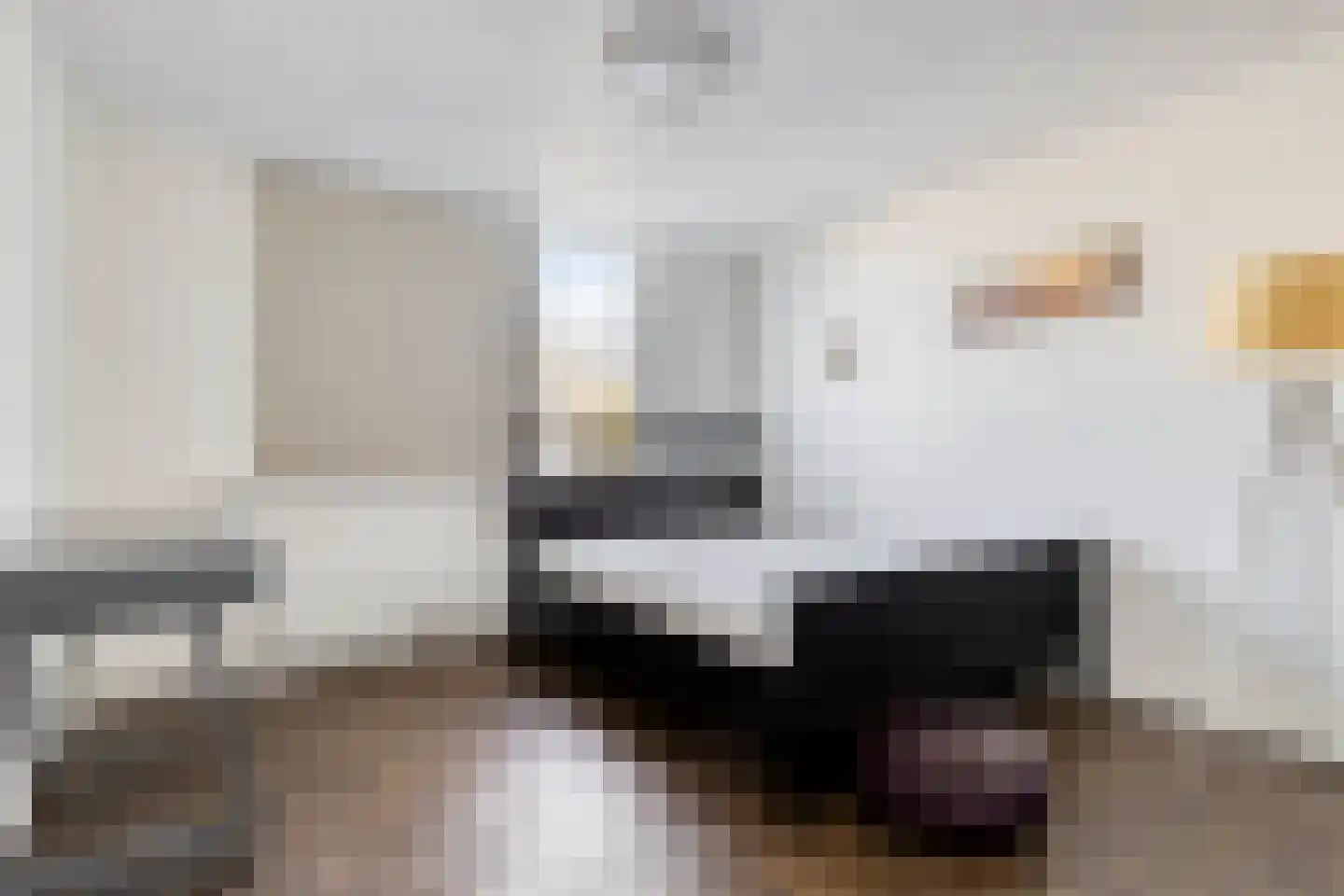 Dr. Albert Schweitzerlaan 131 Purmerend thumbnail 16