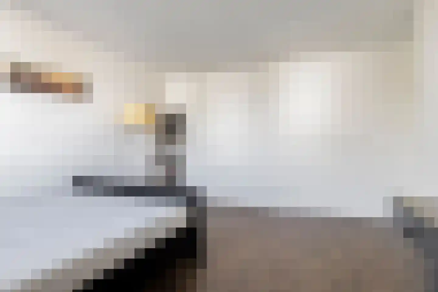 Dr. Albert Schweitzerlaan 131 Purmerend thumbnail 17