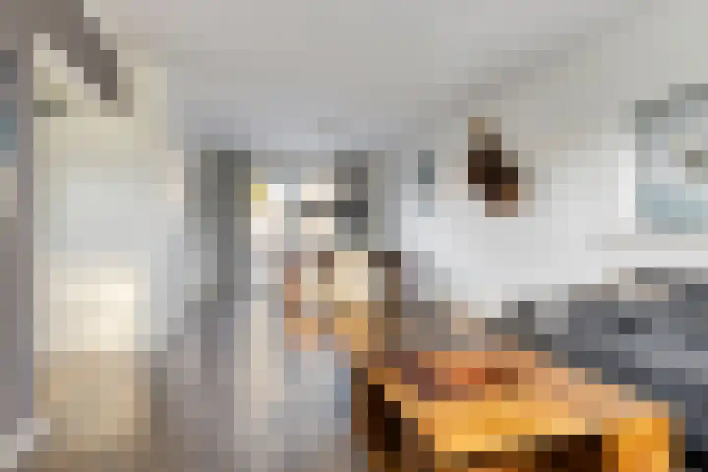 Dr. Albert Schweitzerlaan 131 Purmerend thumbnail 4