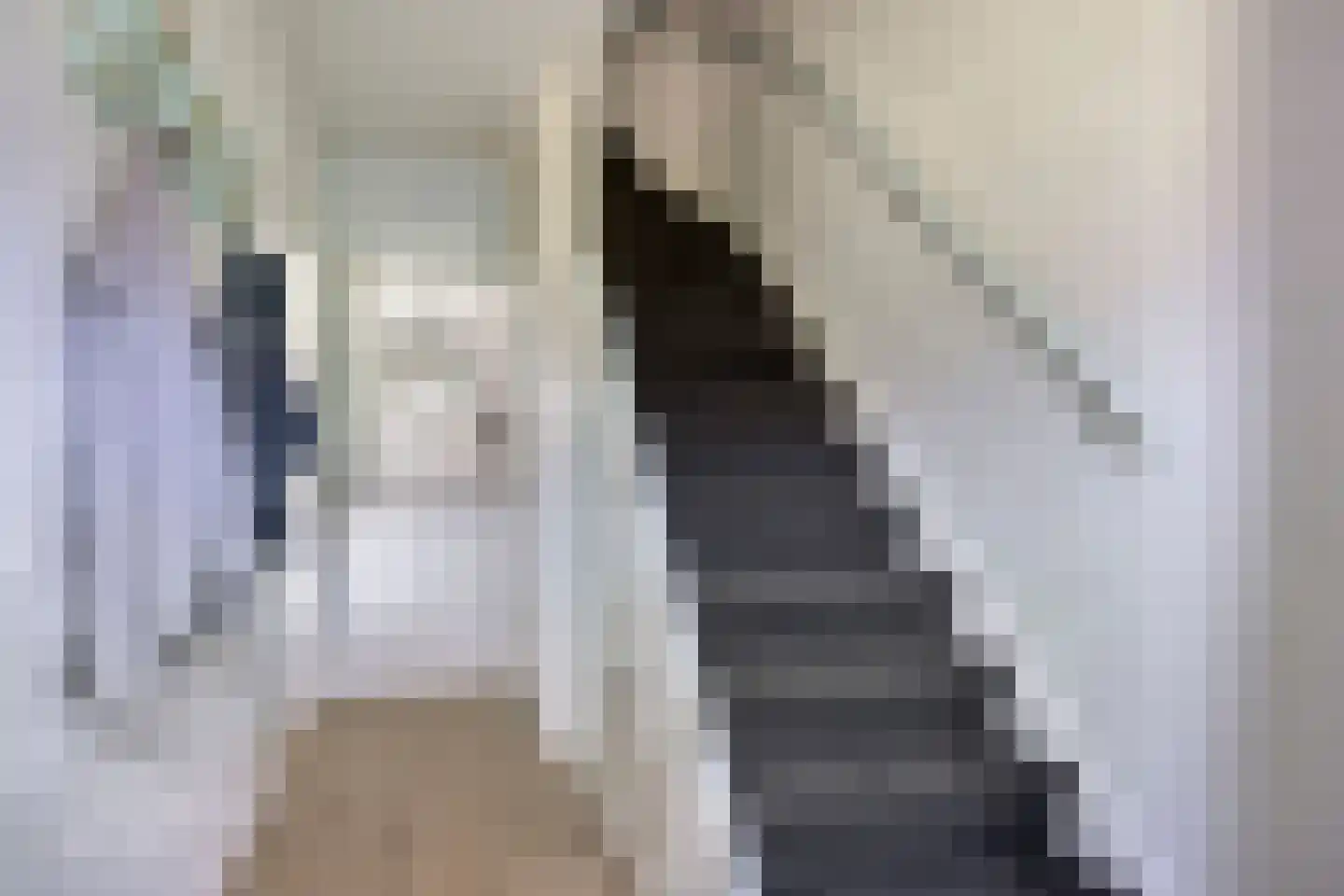 Dr. Albert Schweitzerlaan 16 Purmerend thumbnail 10