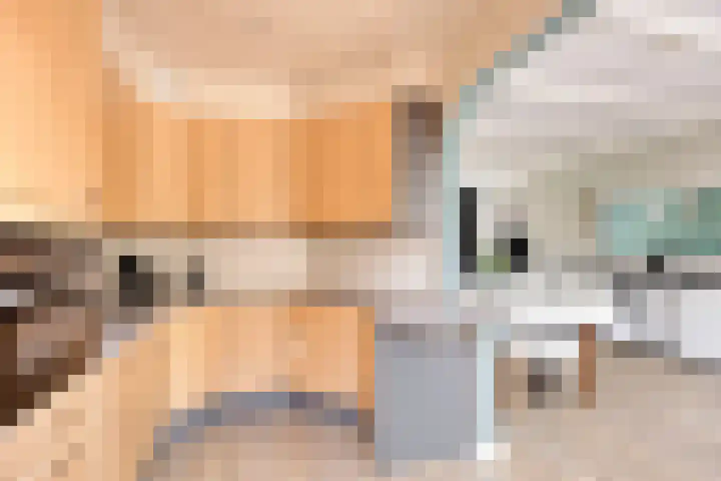 Dr. Albert Schweitzerlaan 16 Purmerend thumbnail 19