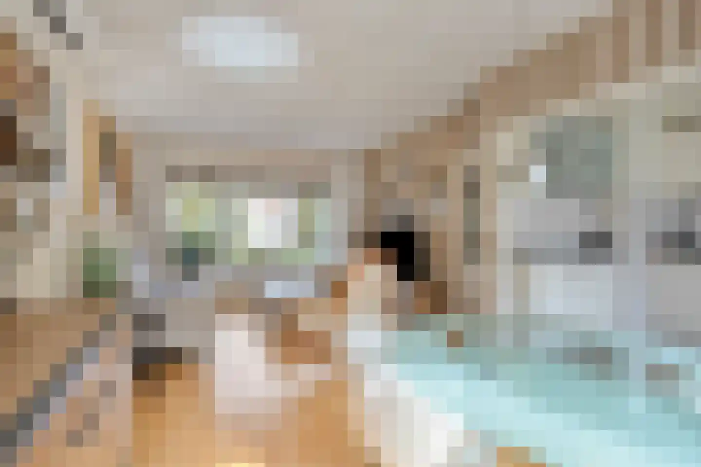 Dr. Albert Schweitzerlaan 2 Purmerend thumbnail 11
