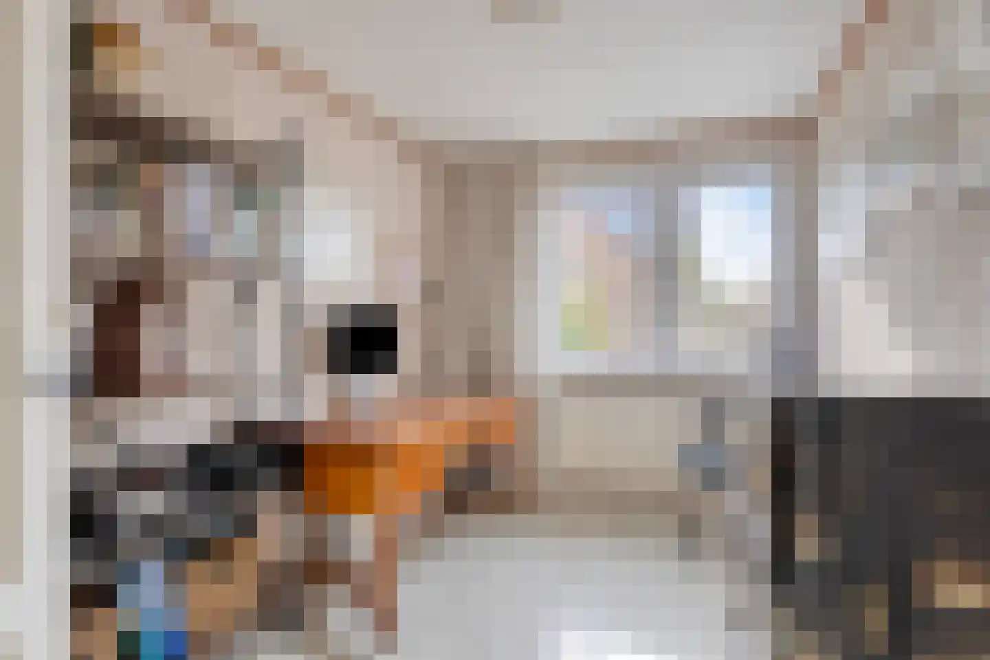 Dr. Albert Schweitzerlaan 2 Purmerend thumbnail 23