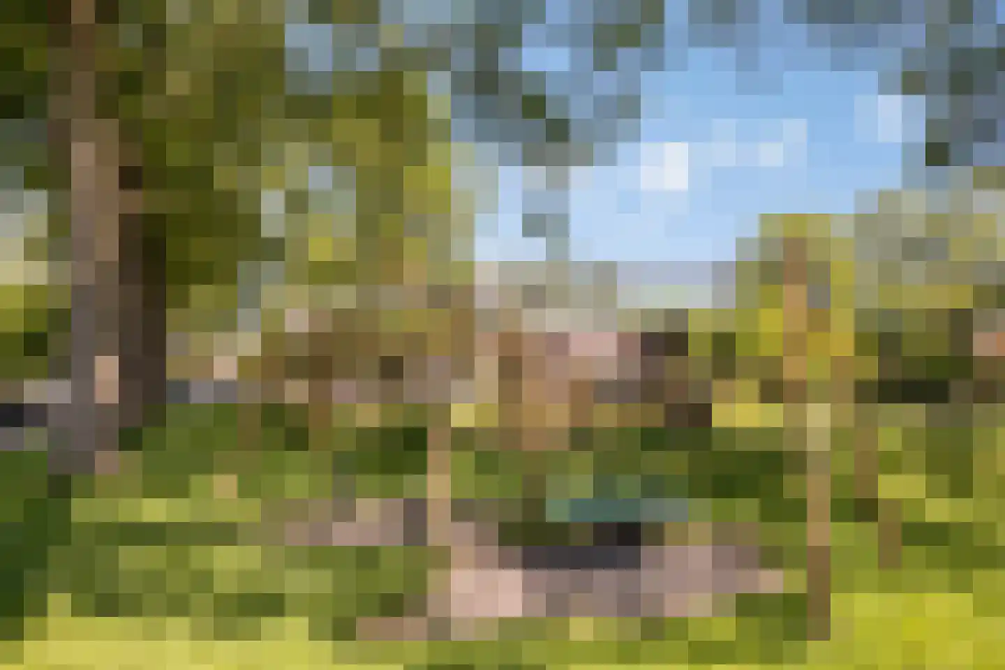 Dr. Albert Schweitzerlaan 2 Purmerend thumbnail 34