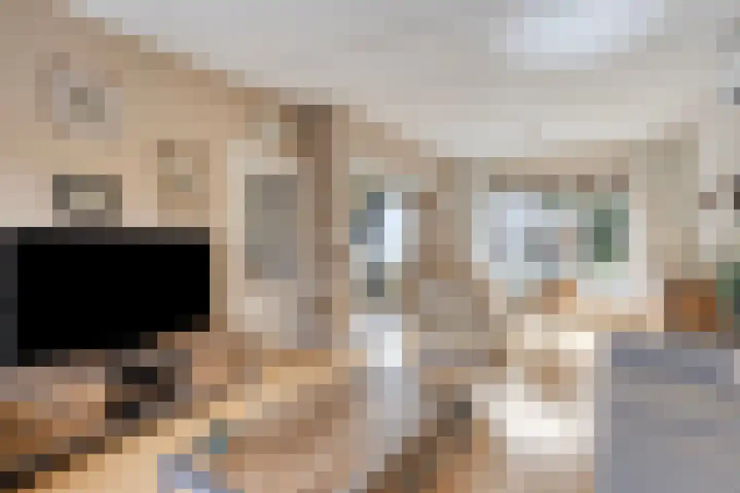 Dr. Albert Schweitzerlaan 2 Purmerend thumbnail 9