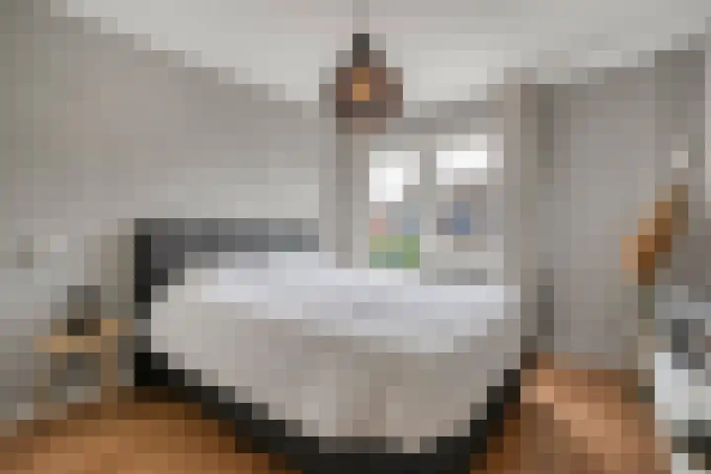 Dr. Albert Schweitzerlaan 42 Hardenberg thumbnail 28