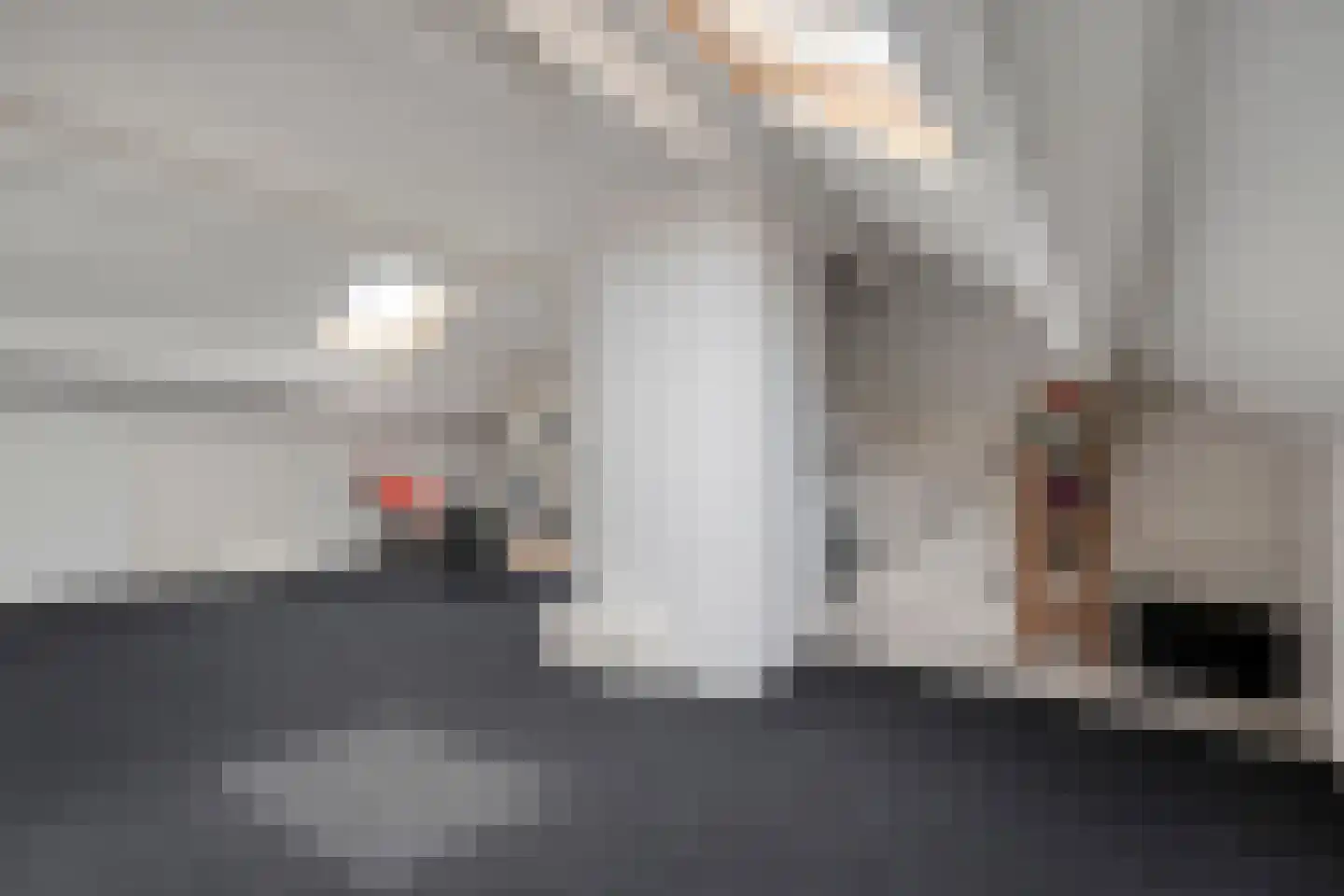Dr. Albert Schweitzerlaan 42 Hardenberg thumbnail 37