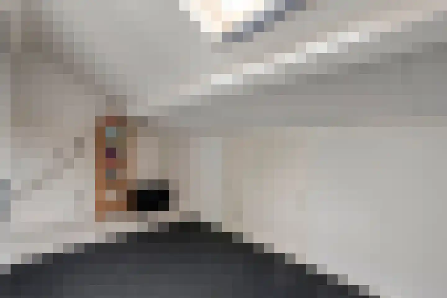 Dr. Albert Schweitzerlaan 42 Hardenberg thumbnail 39