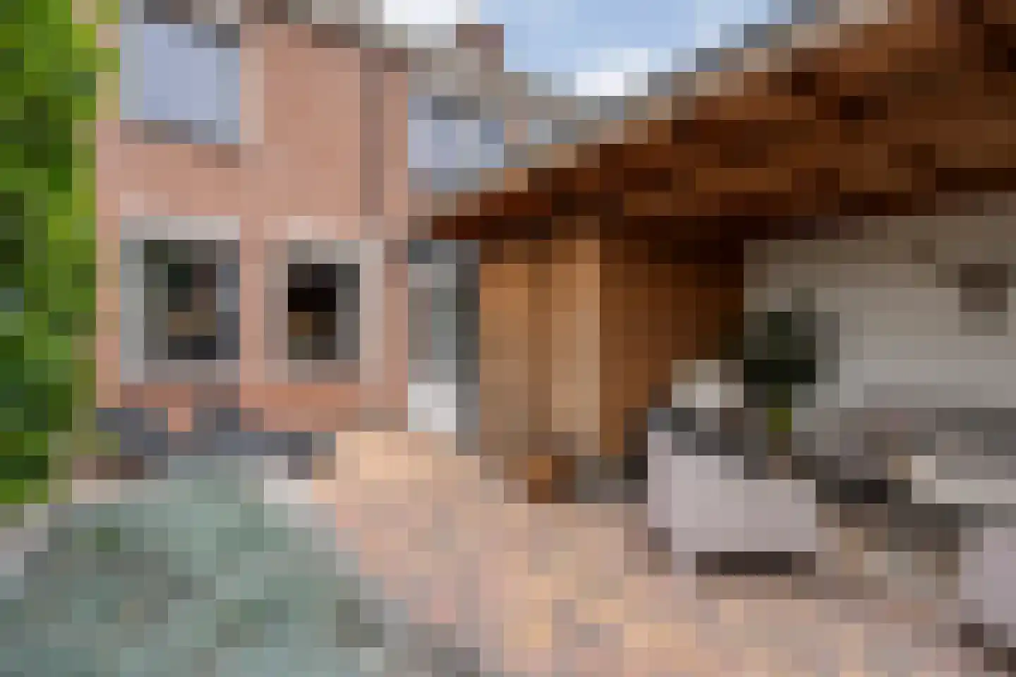 Dr. Albert Schweitzerlaan 42 Hardenberg thumbnail 48
