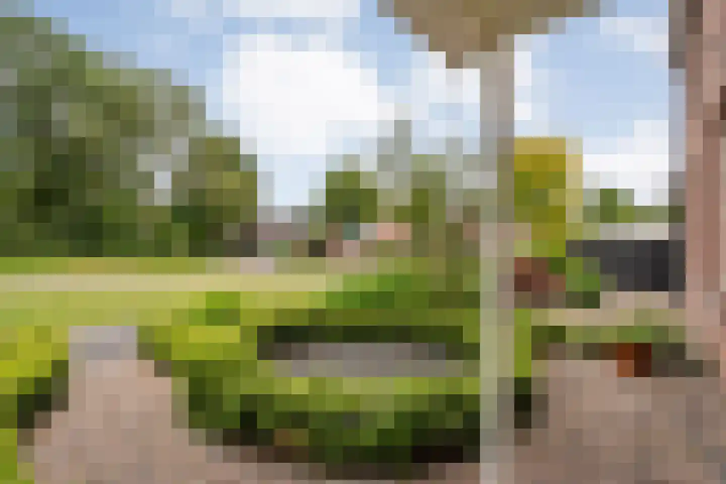 Dr. Albert Schweitzerlaan 42 Hardenberg thumbnail 7