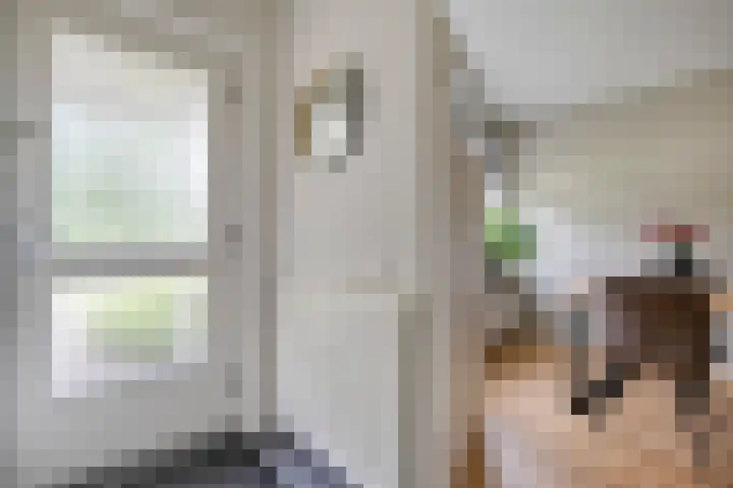 Dr. Albert Schweitzerlaan 42 Hardenberg thumbnail 8