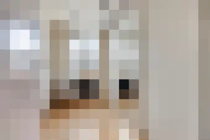 Dr. Albert Schweitzerlaan 77 Purmerend thumbnail 28