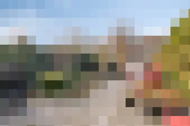 Dr. Albert Schweitzerlaan 77 Purmerend thumbnail 35
