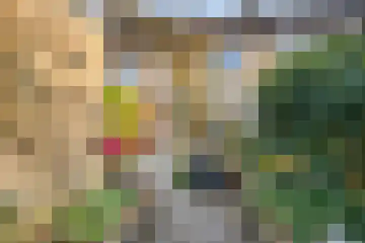 Dr. Albert Schweitzerlaan 77 Purmerend thumbnail 39