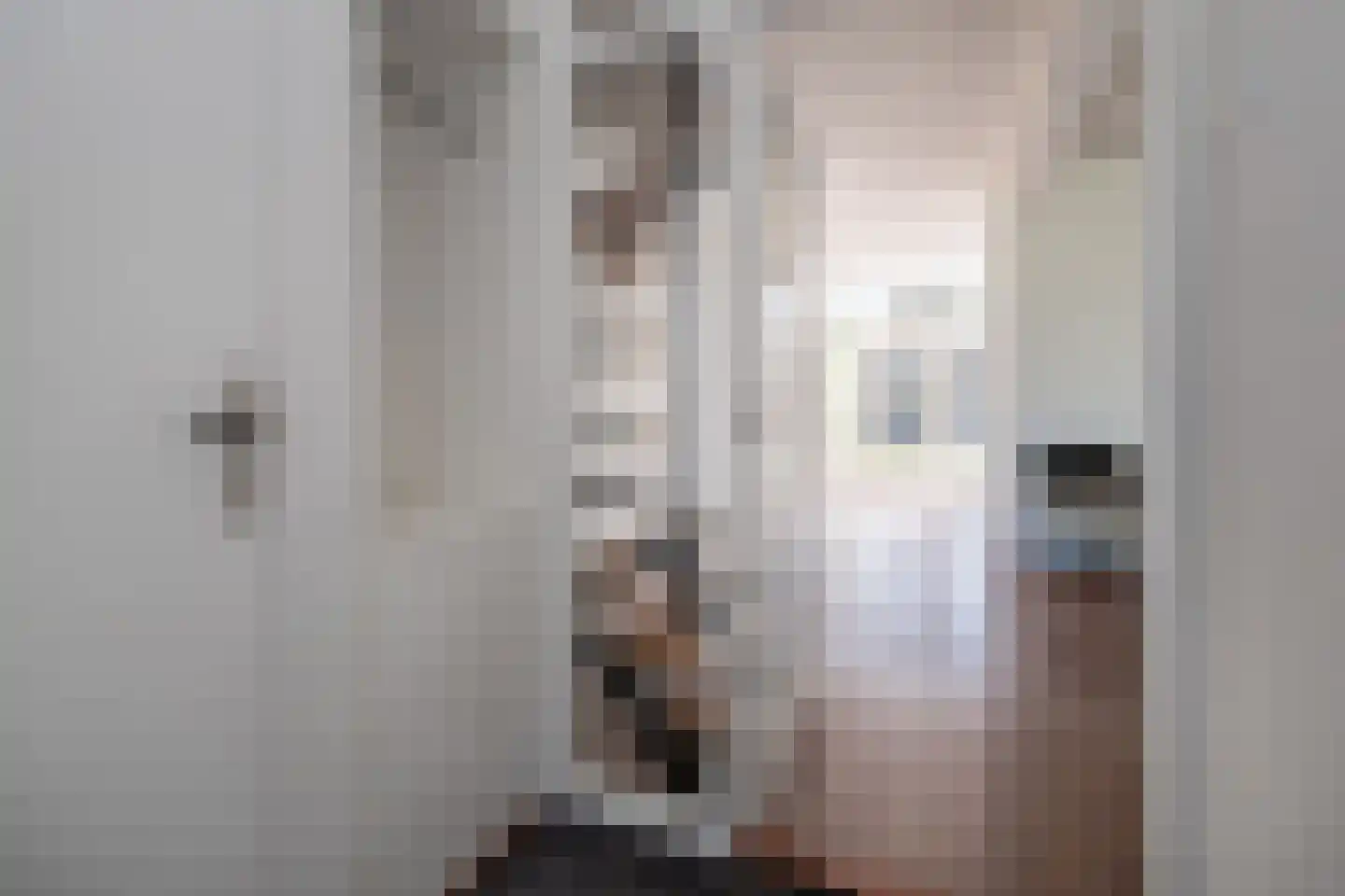 Dr. Albert Schweitzerlaan 78 Barneveld thumbnail 14