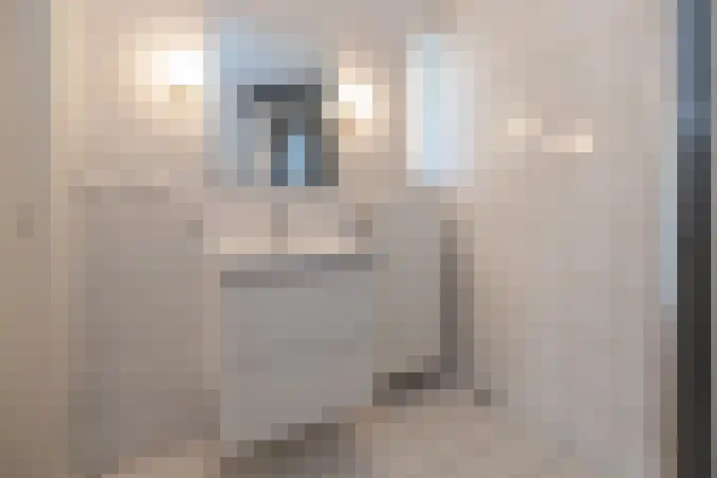 Dr. Albert Schweitzerlaan 78 Barneveld thumbnail 25